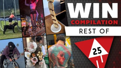WIN Compilation: BEST OF 2025 (Videos of the Year) | 2025 | Was is hier eigentlich los?