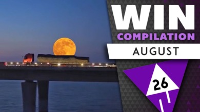 WIN Compilation August 2026 Edition | 2026 | Was is hier eigentlich los? WIN Compilation August 2026 Edition | 2026 | Was is hier eigentlich los?